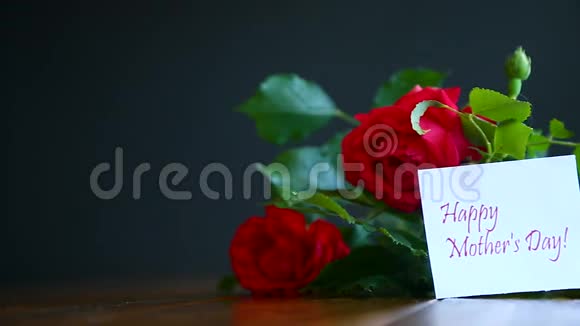 美丽的红色盛开的玫瑰视频的预览图