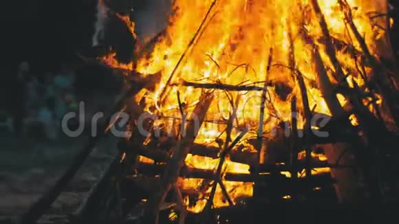 人们背景下森林中的枝干夜间燃烧的大篝火视频的预览图