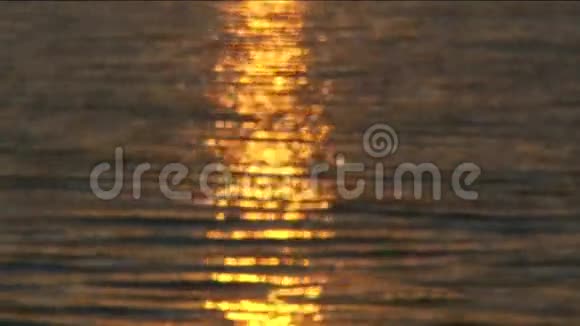 太阳在水上视频的预览图