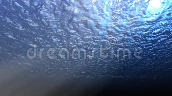 高清水下三维渲染仰望海洋视频的预览图