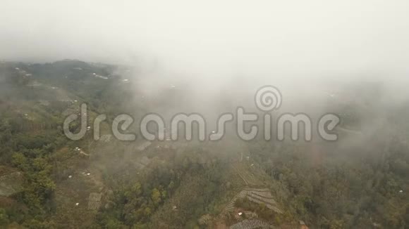 云雾缭绕的群山中的农田印度尼西亚巴厘视频的预览图