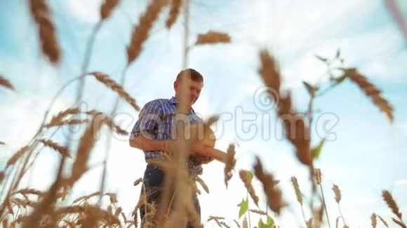 老农面包师的剪影拿着一个金色的面包和面包在成熟的麦田对抗蓝天慢动作视频的预览图