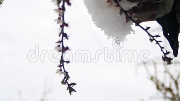 雪从屋顶上融化在春天里滴水视频的预览图