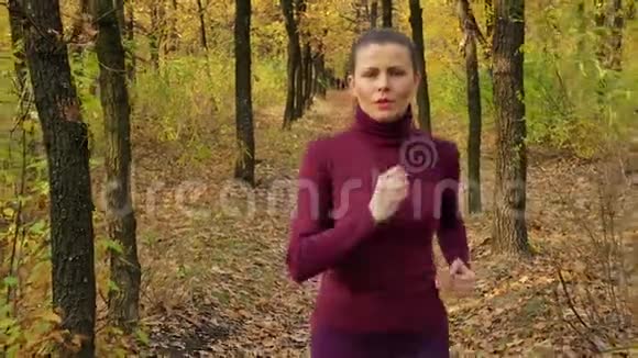 慢速跑步女子跑步者在秋天的森林小径上慢跑适合女性运动健身模式运动员跑步训练视频的预览图