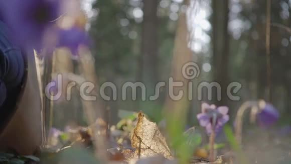美丽的少女在森林里采野花视频的预览图