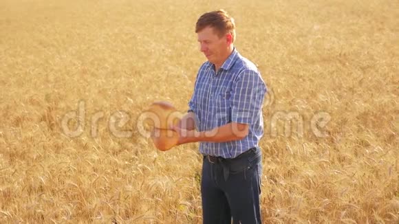 老农面包师在成熟的麦田里拿着一个金色的面包和面包慢动作视频收获时间老了视频的预览图