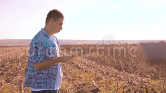 农民聪明的农业人阅读或分析收获向日葵在平板电脑上的农业领域的报告与视频的预览图