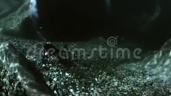 潜水员与相机水下透明河流韦尔扎斯卡视频的预览图