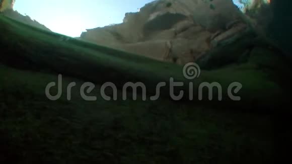 透明韦尔扎斯卡河水下景观视频的预览图