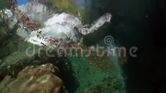 韦尔扎斯卡山河水下景观视频的预览图