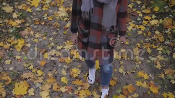 秋天的女孩在城市公园散步秋天的森林里快乐可爱美丽的年轻女子的肖像视频的预览图