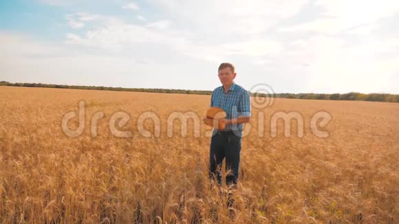 老农人生活方式面包师拿着一个金色的面包和面包在麦田对抗蓝天慢速视频视频的预览图