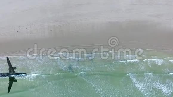 飞机阴影下的孤独海滩鸟瞰视频的预览图