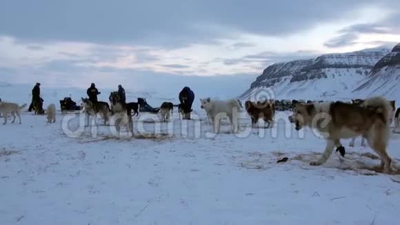 人们探险狗雪橇队哈士奇爱斯基摩路北极视频的预览图
