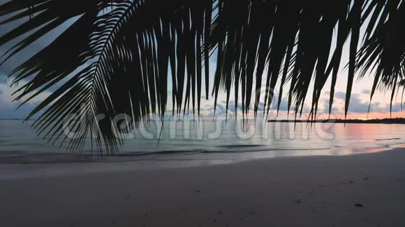 从棕榈树叶和热带岛屿海滩日落海景蓬塔卡纳度假村视频的预览图