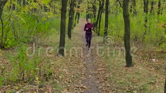跑步女子跑步者在秋天的森林小径上慢跑适合女性运动健身模式运动员跑步训练视频的预览图