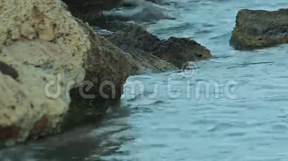 人们在海滩上洗澡和休息卡拉门迪亚的西班牙海滩马略卡视频的预览图