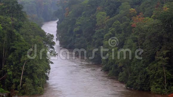 赤道非洲丛林中的河流视频的预览图