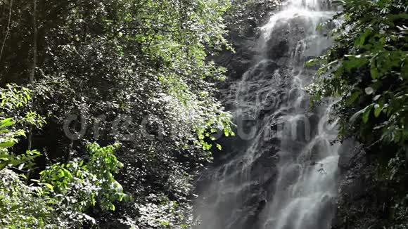 国家公园的丛林瀑布视频的预览图