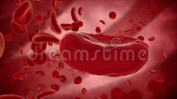 血细胞蛭石内生物视图医学概念HUD背景视频的预览图