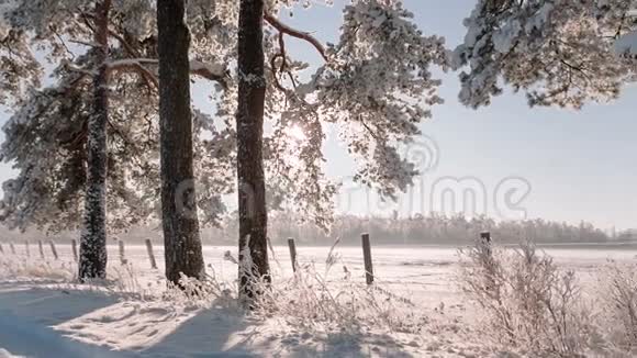 摄像机从左到右移动拍摄美丽的冬季景观视频的预览图