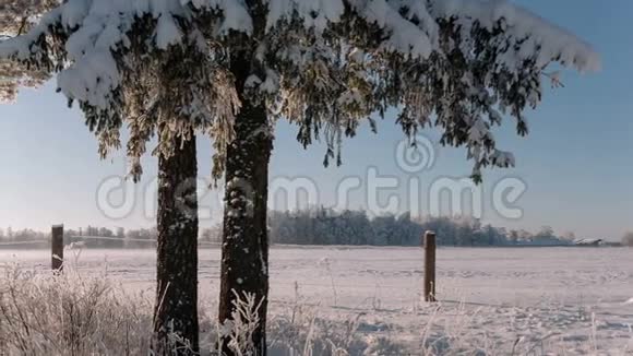 摄像机从右向左移动拍摄美丽的冬季景观视频的预览图