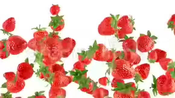白底草莓视频的预览图