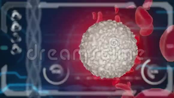 血细胞蛭石内生物视图医学概念HUD背景视频的预览图