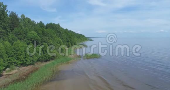 鸟瞰海岸线夏日风景视频的预览图