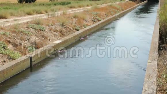 田间灌溉渠视频的预览图