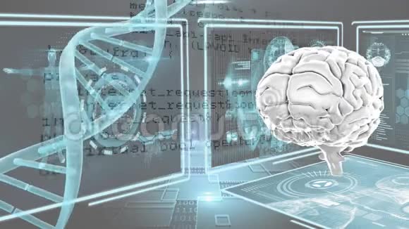 人脑和DNA视频的预览图