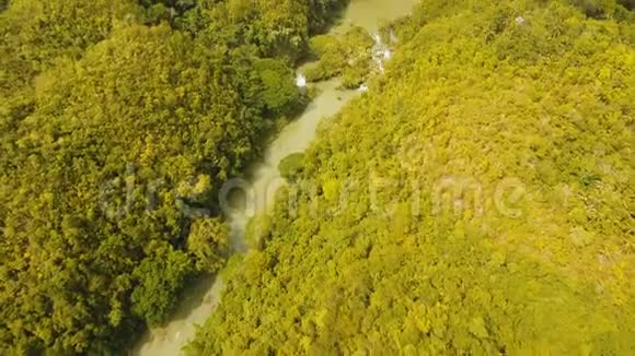 菲律宾热带雨林中的洛波克河博霍尔视频的预览图