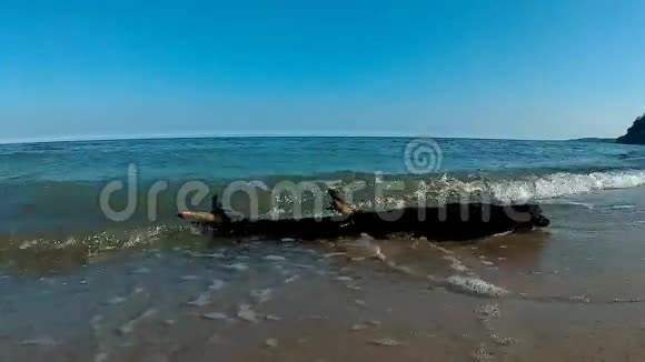 波罗的海的冲浪视频的预览图