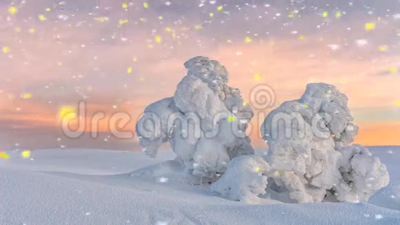 美丽的冬天日落与落雪视频的预览图