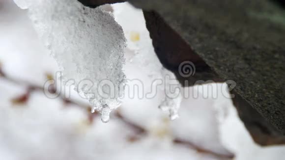 雪从屋顶上融化在春天里滴水视频的预览图