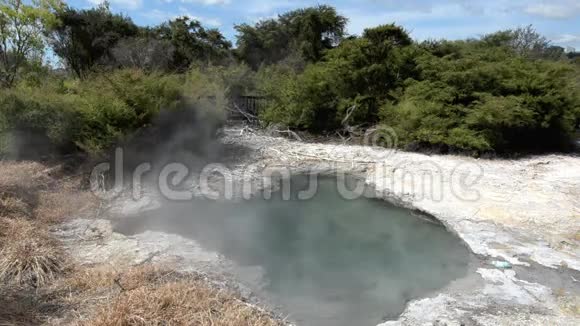 罗托鲁瓦的库伊鲁公园新西兰视频的预览图