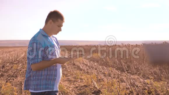 农民聪明的农业工人读书或分析收获向日葵在农业领域平板电脑上的报告视频的预览图