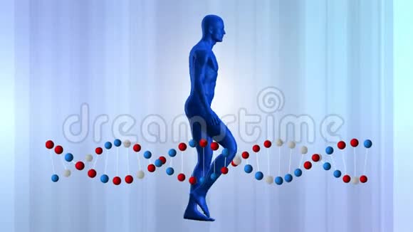 人模型和DNA视频的预览图
