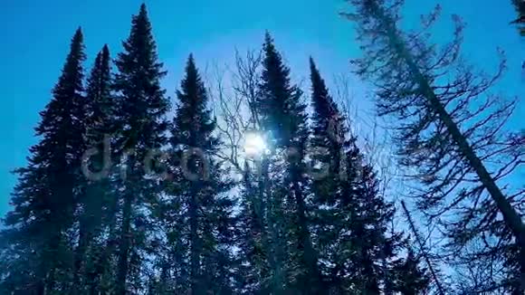 滑雪场慢动作的美丽冬季景观1920x1080视频的预览图