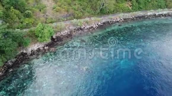 印度尼西亚阿洛尔健康珊瑚礁鸟瞰图视频的预览图