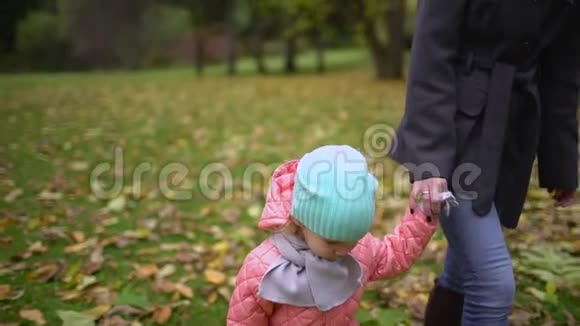 快乐年轻美丽的妈妈和小女儿在秋天公园散步一个快乐的母亲和一个小女儿视频的预览图