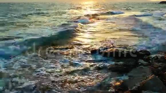 大海和阳光视频的预览图
