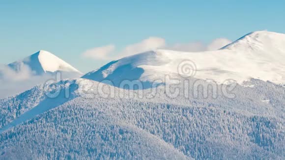 美丽的冬季景观白雪覆盖的树木冬天的山视频的预览图