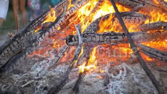 森林中夜间燃烧的枝干大火视频的预览图