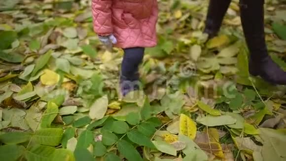 快乐年轻美丽的妈妈和小女儿在秋天公园散步一个快乐的母亲和一个小女儿视频的预览图