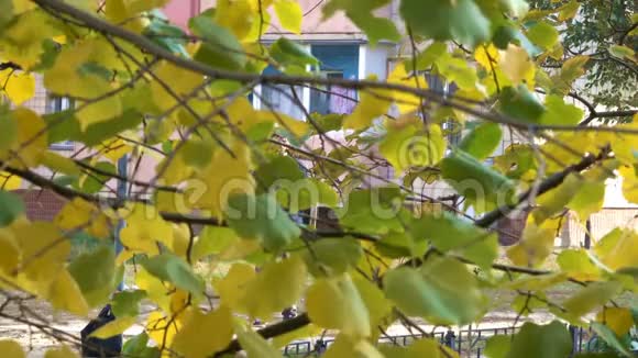 秋季城市视频小品屏保视频的预览图