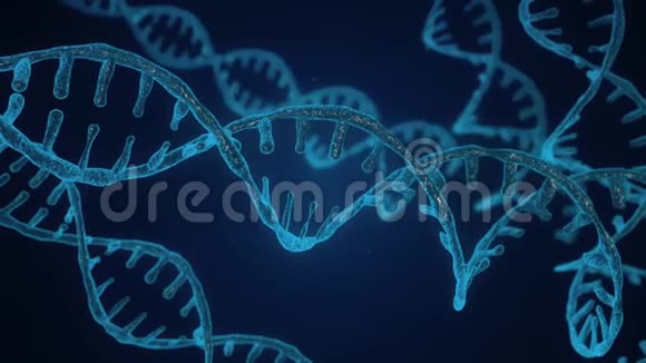 具有景深的抽象蓝色闪闪发光的DNA双螺旋DNA构建的科学动画视频的预览图