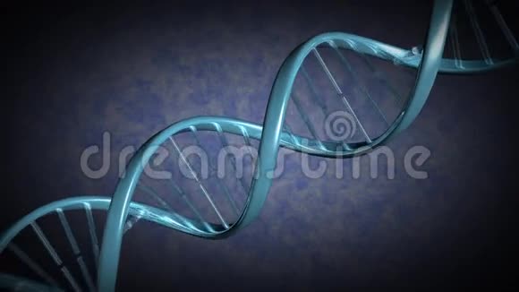 一条DNA链随着摄像机的移动而旋转视频的预览图
