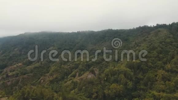 云雾中的雨林印度尼西亚巴厘视频的预览图