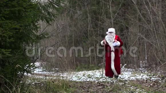 在树林里路上的圣诞老人视频的预览图